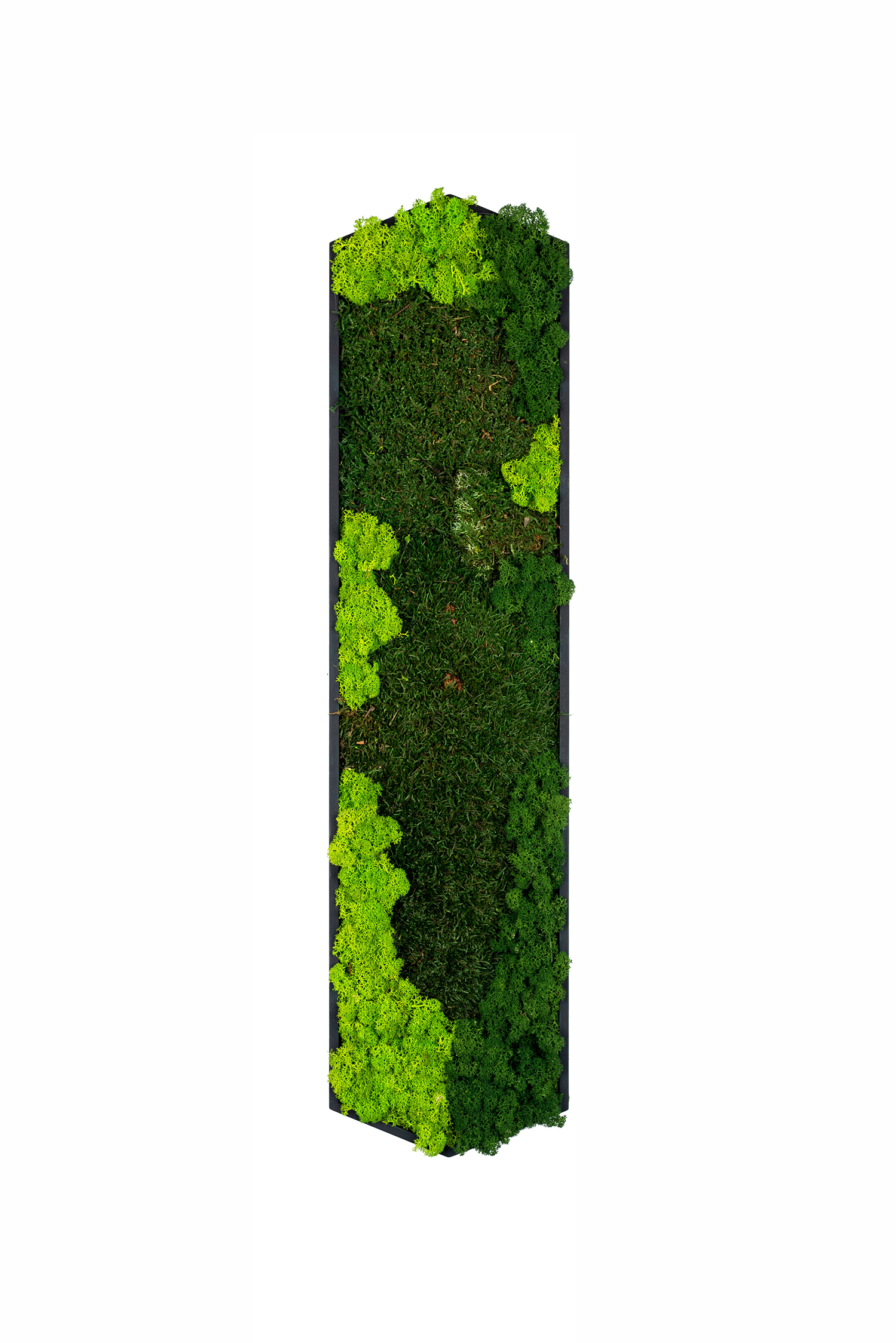 Hexad