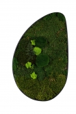 Ovate