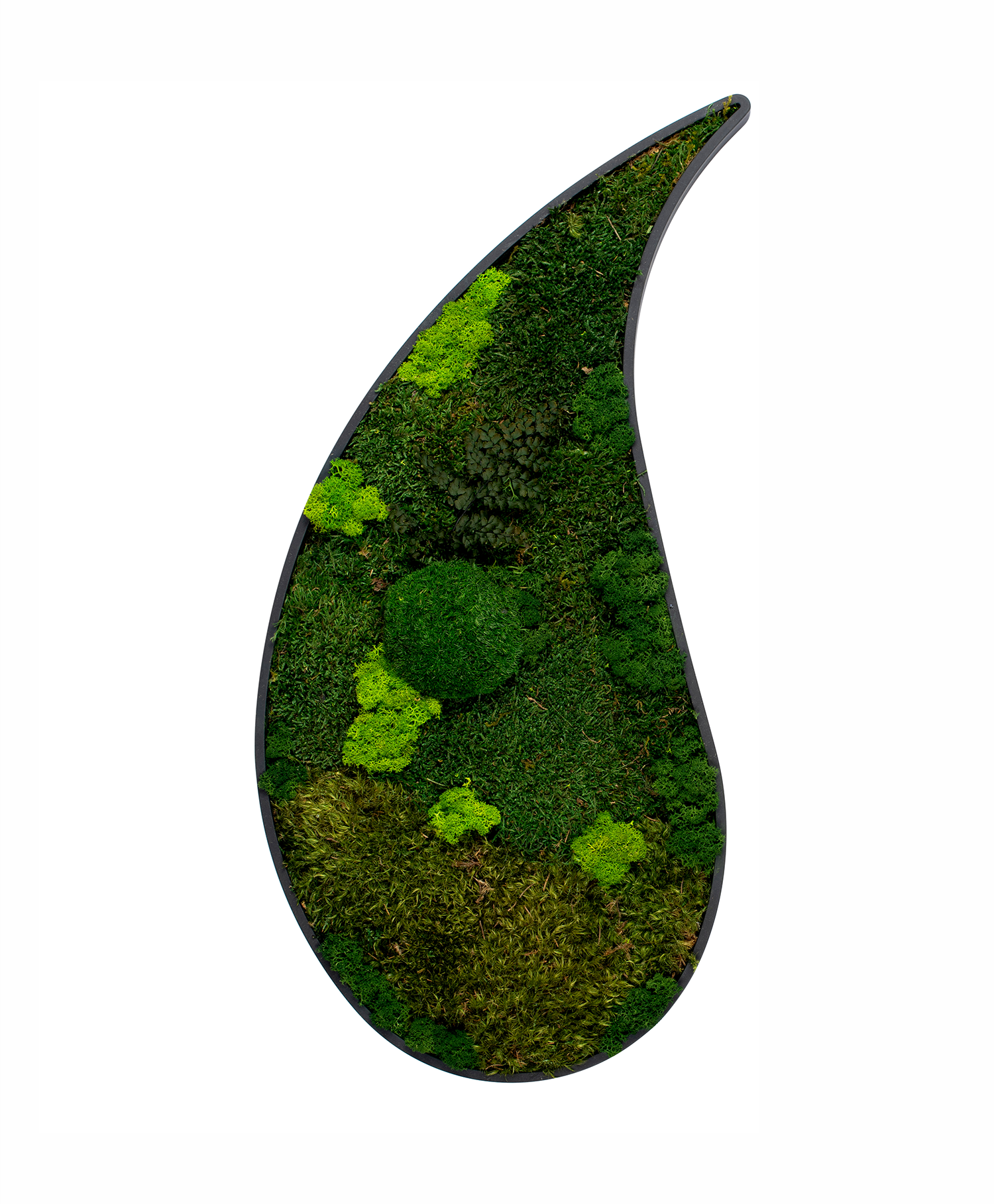 Green Collection